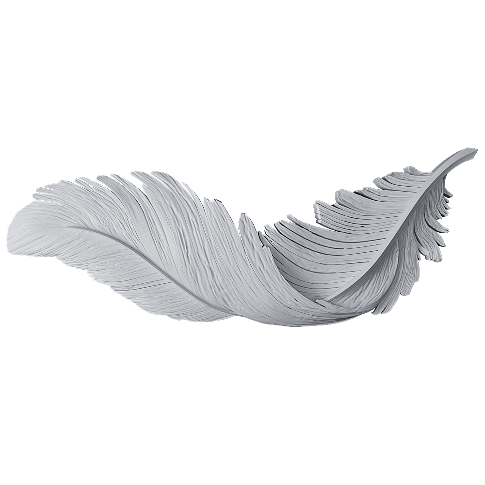 Feather
