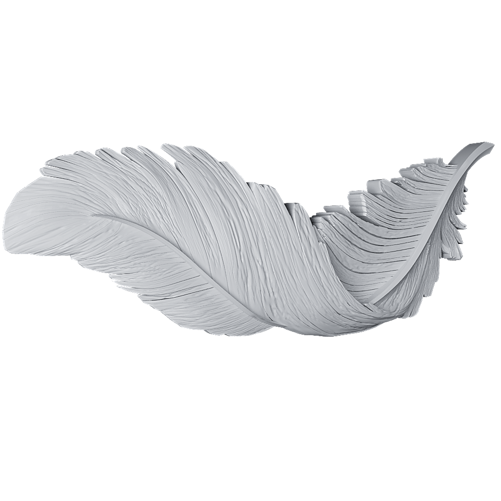 Feather2